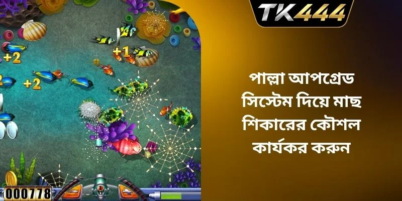 পাল্লা আপগ্রেড সিস্টেম দিয়ে মাছ শিকারের কৌশল কার্যকর করুন
