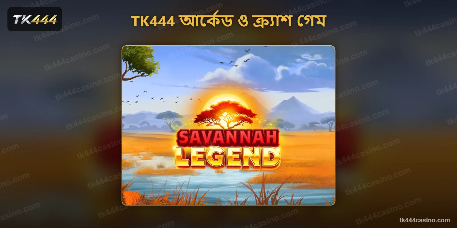 TK444 আর্কেড ও ক্র্যাশ গেম বিভাগ
