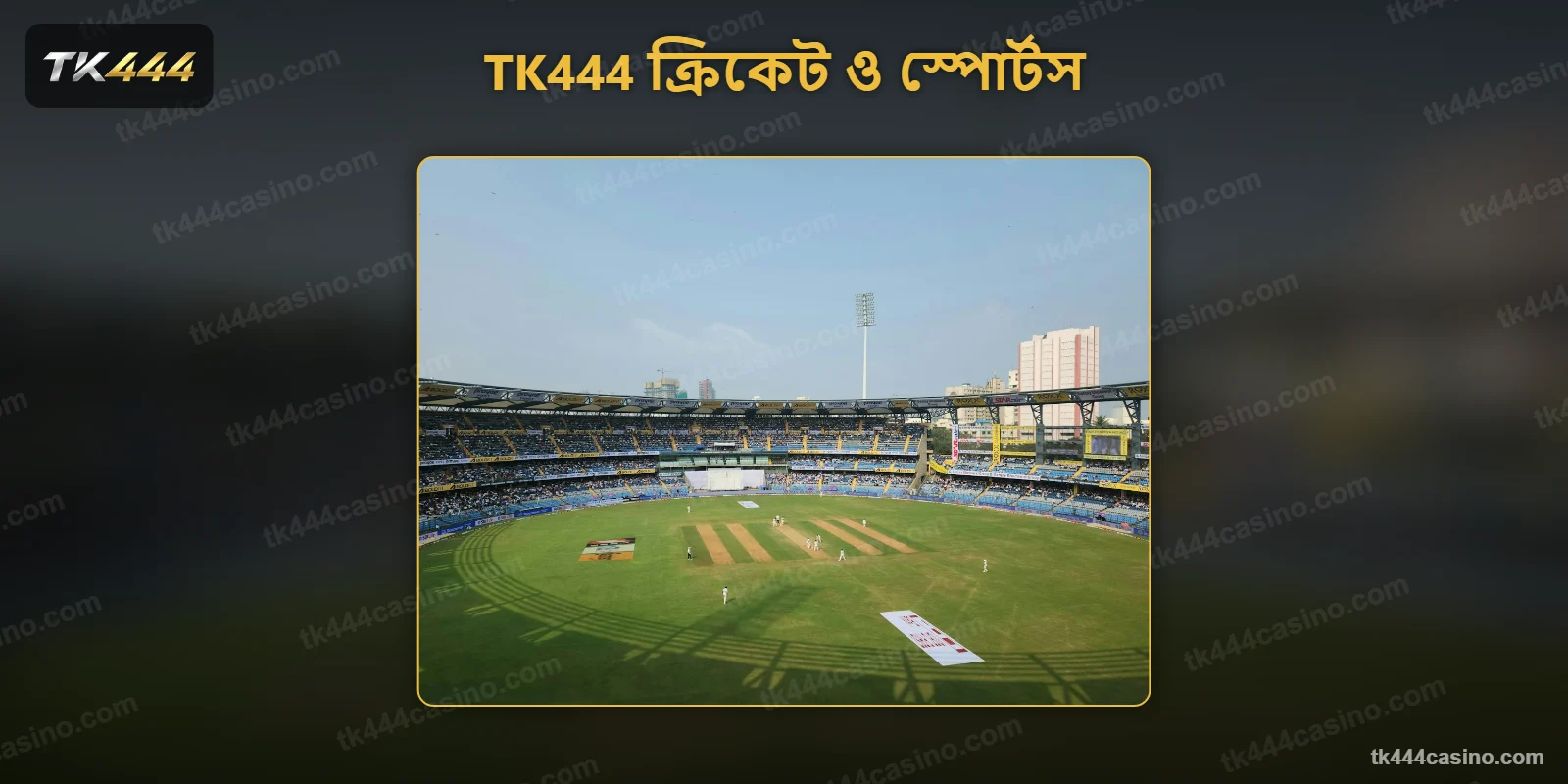 TK444 স্পোর্টস বেটিং গাইড – ক্রিকেট বাজির বাজার